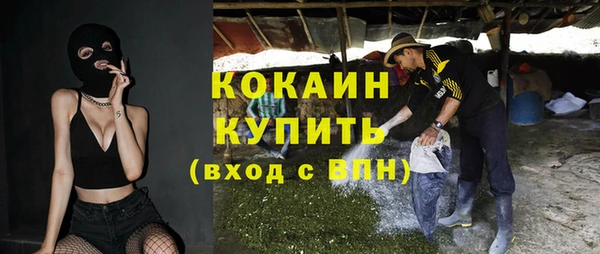 альфа пвп Няндома