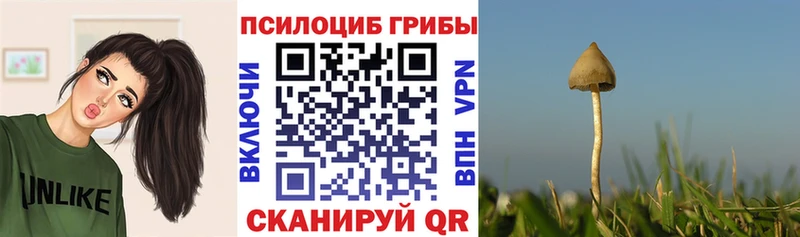 Галлюциногенные грибы ЛСД  Холмск 