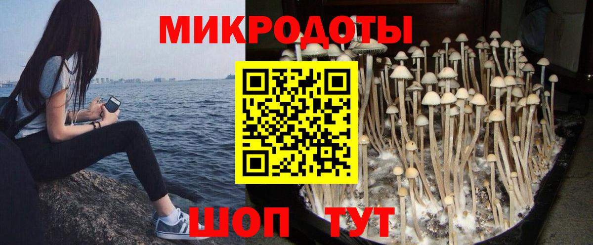 Псилоцибиновые грибы прущие грибы  Галлюциногенные грибы прущие грибы  Холмск  Вход с VPN 