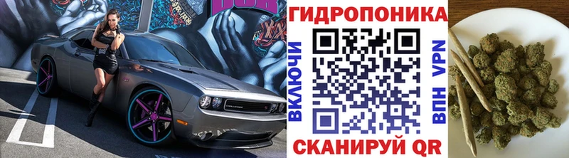 кракен ТОР  Холмск  Канабис гибрид 